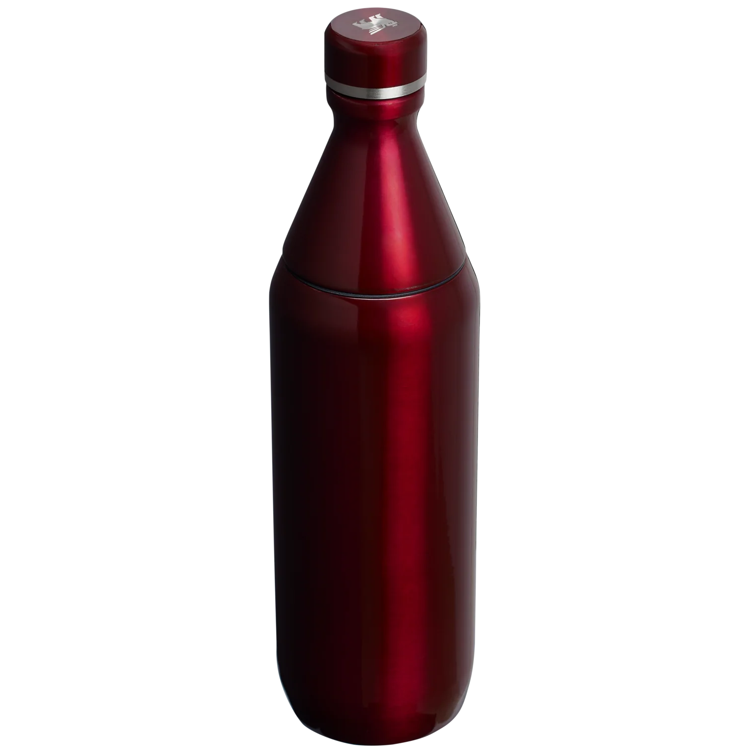 All Day Slim Bottle | 20 OZ - Stanley Create - Image 29